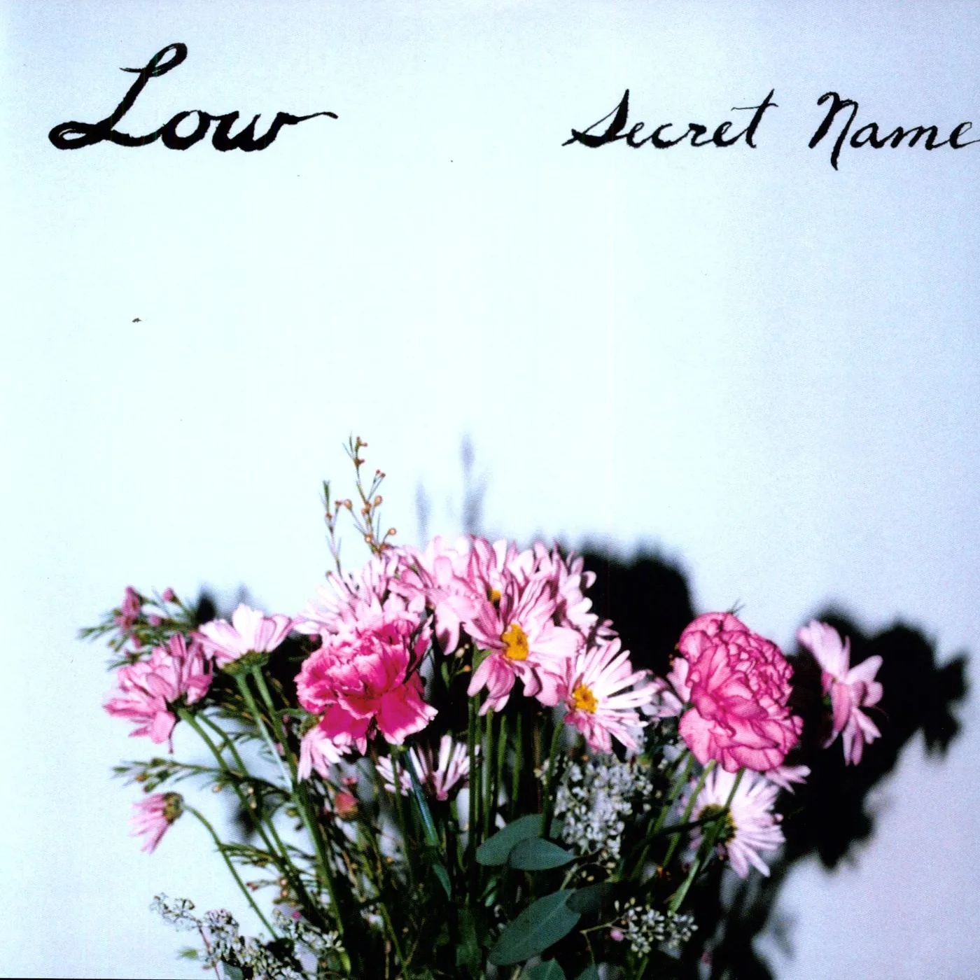 Low Secret Name Vinyl Record