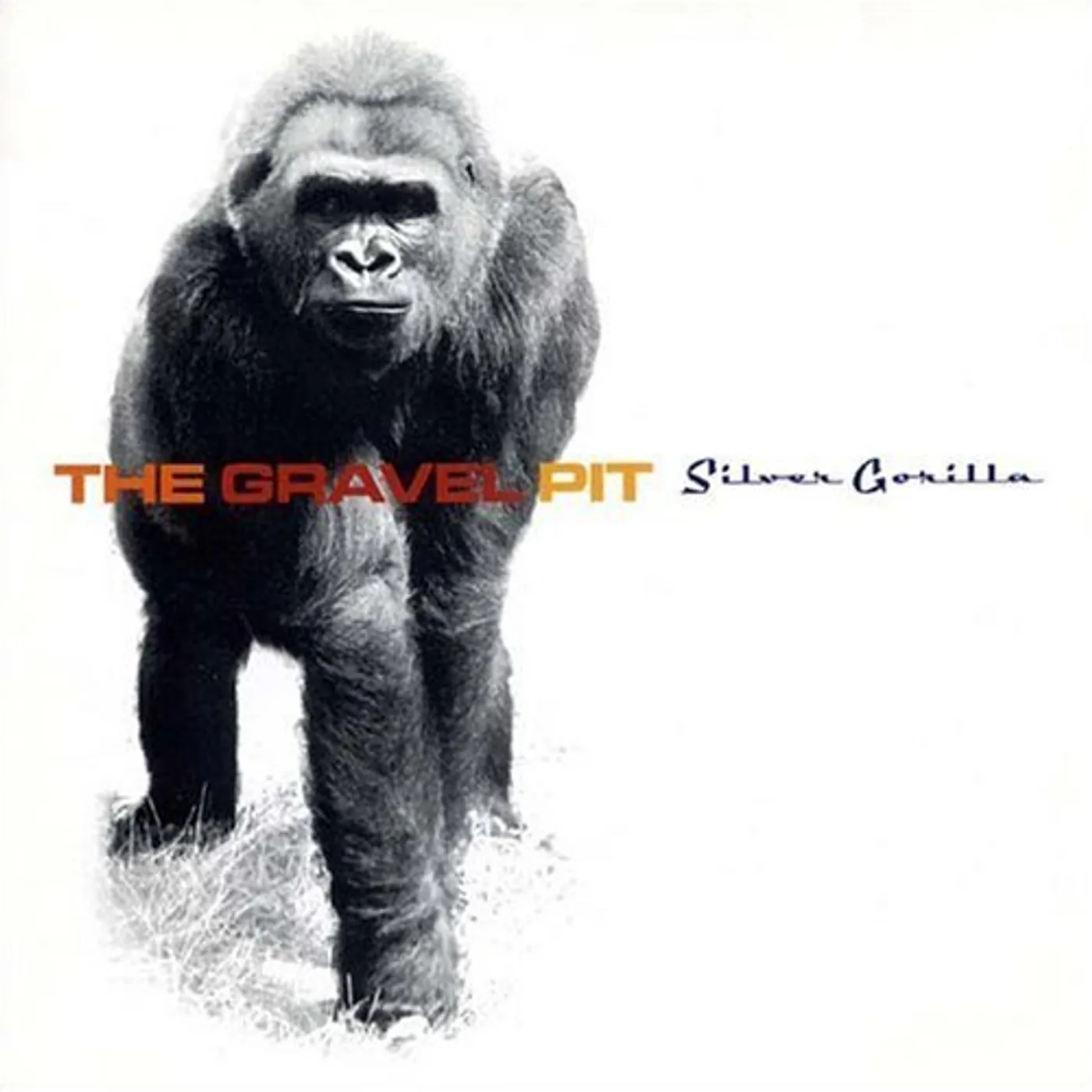 The Gravel Pit SILVER GORILLA CD