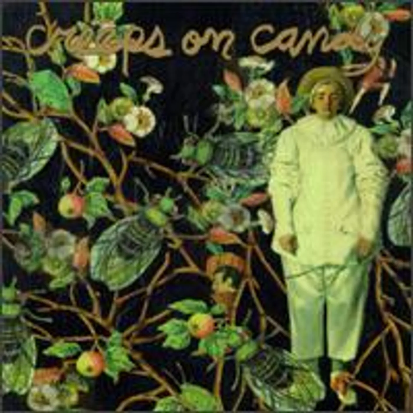 Creeps On Candy WONDERS OF GIARDIA 3 CD