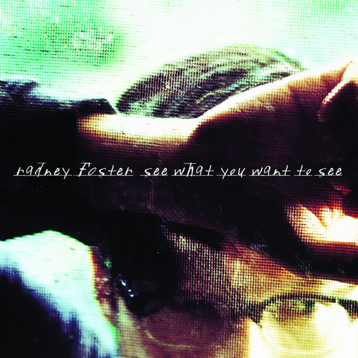 Radney Foster SEE WHAT YOU WANT TO SEE CD