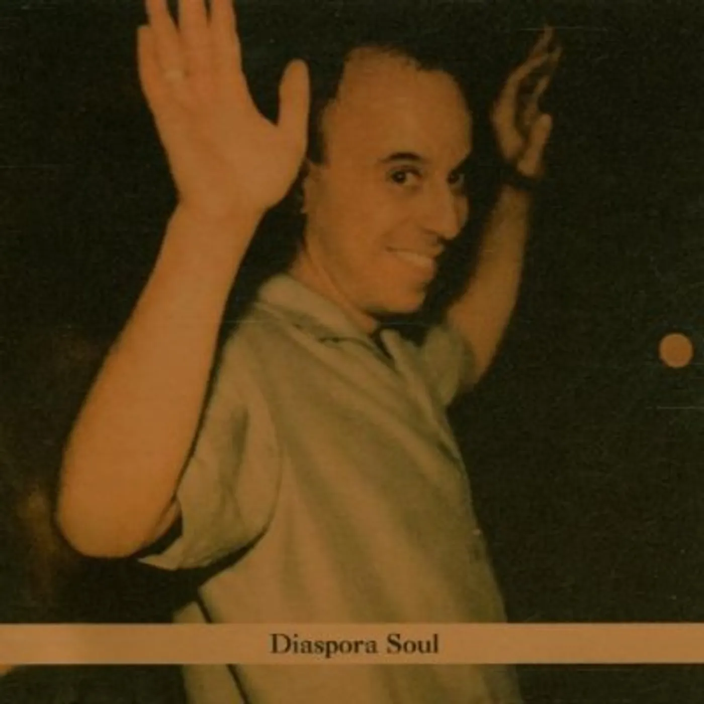 Steven Bernstein DIASPORA SOUL CD