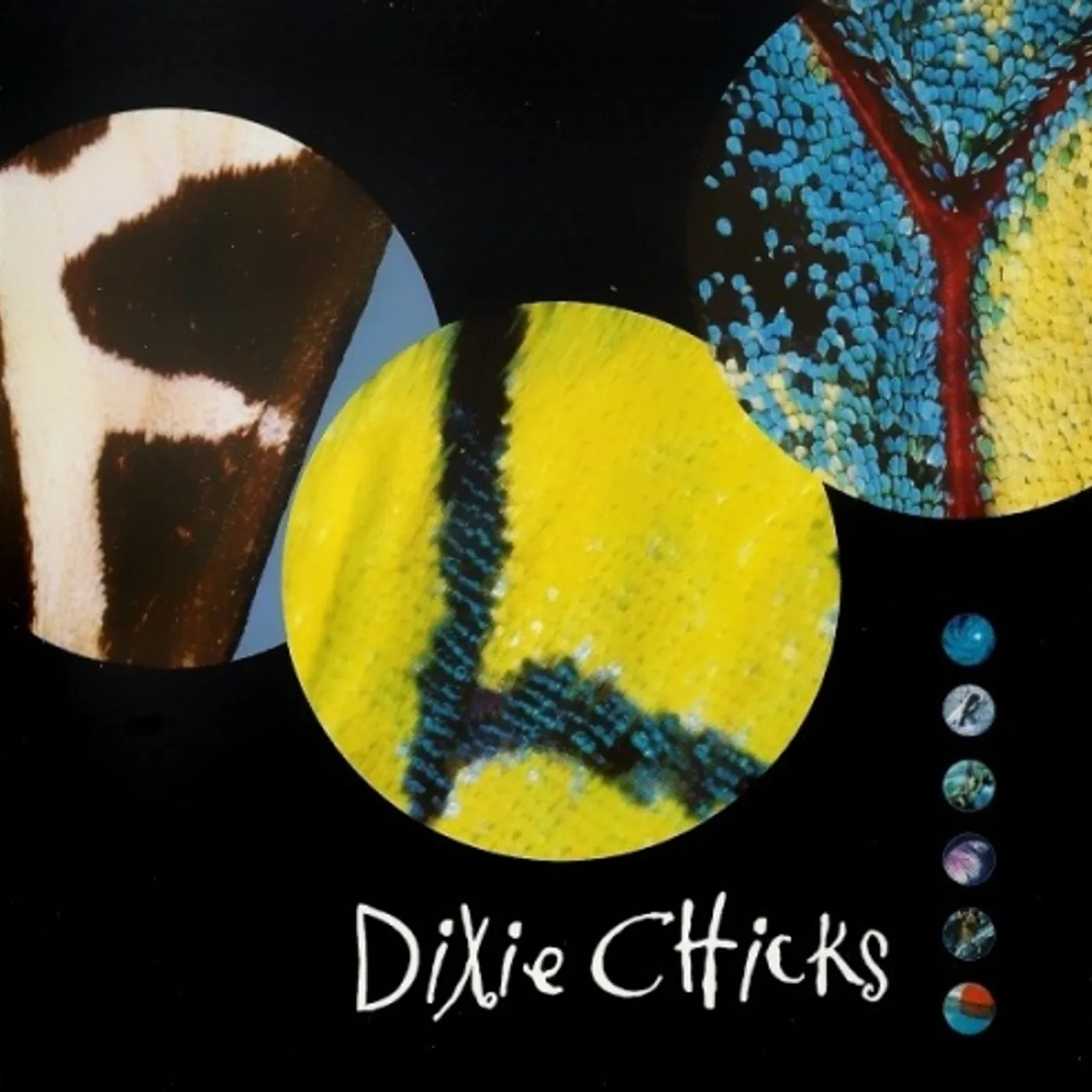 The Chicks FLY CD