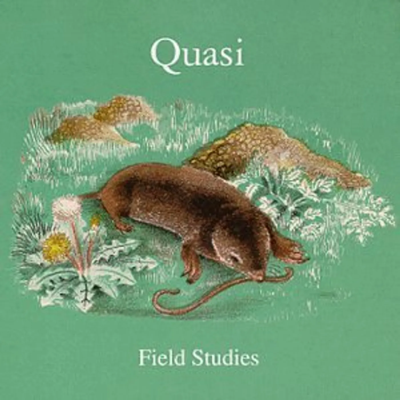Quasi Field Studies Vinyl Record