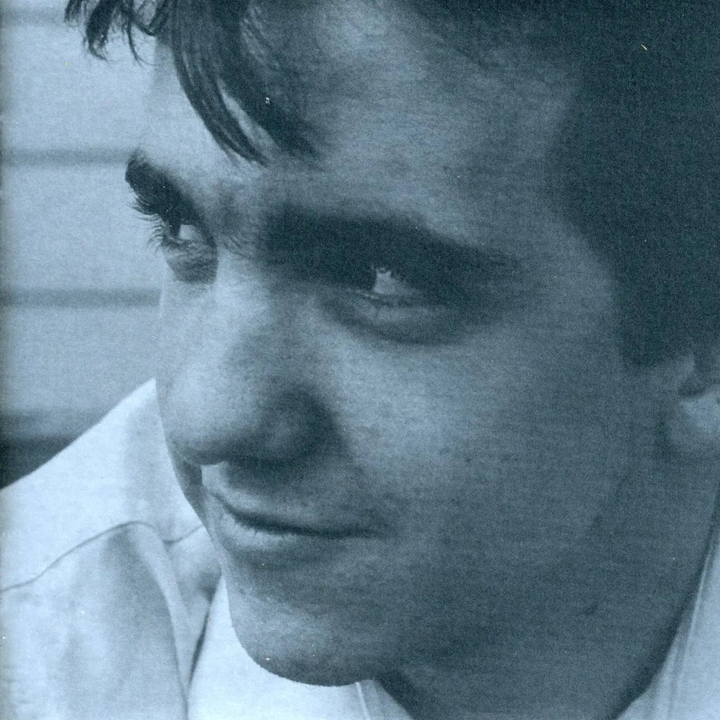 The Magnetic Fields 69 LOVE SONGS 1 CD