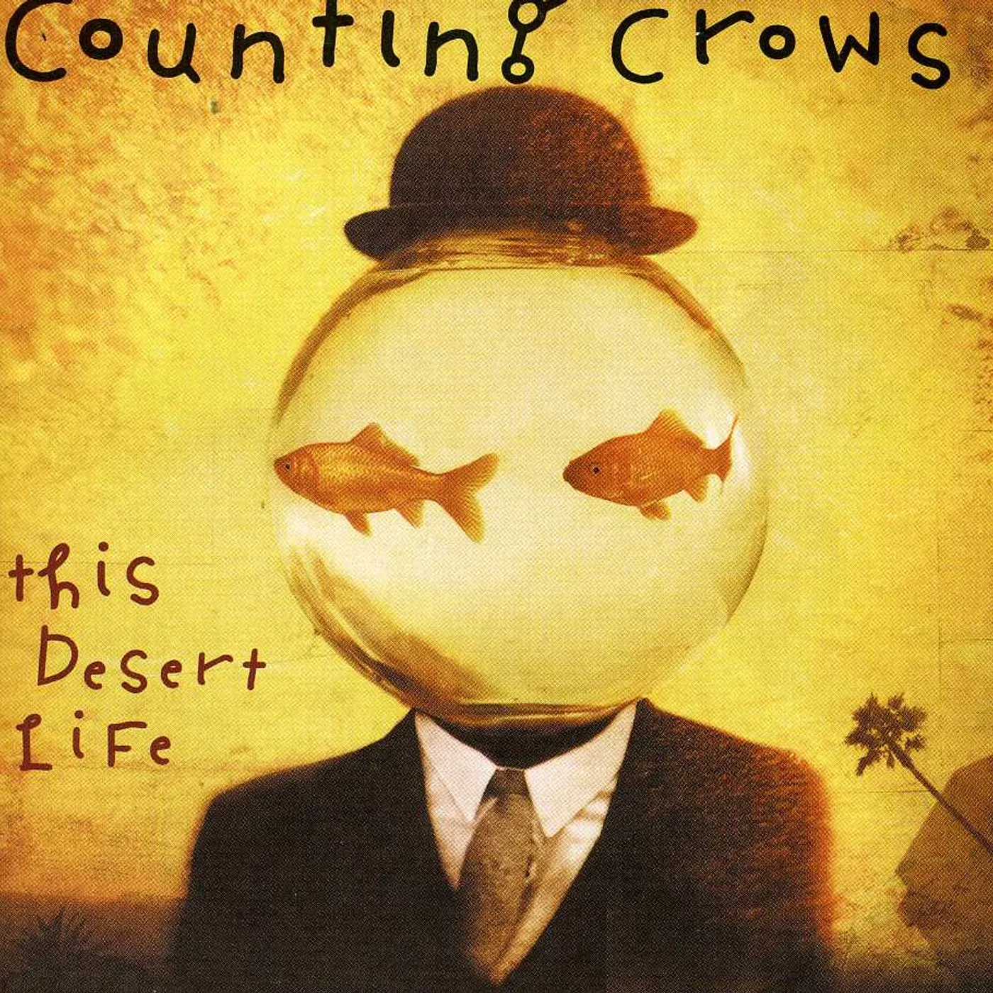 Counting Crows THIS DESERT LIFE CD