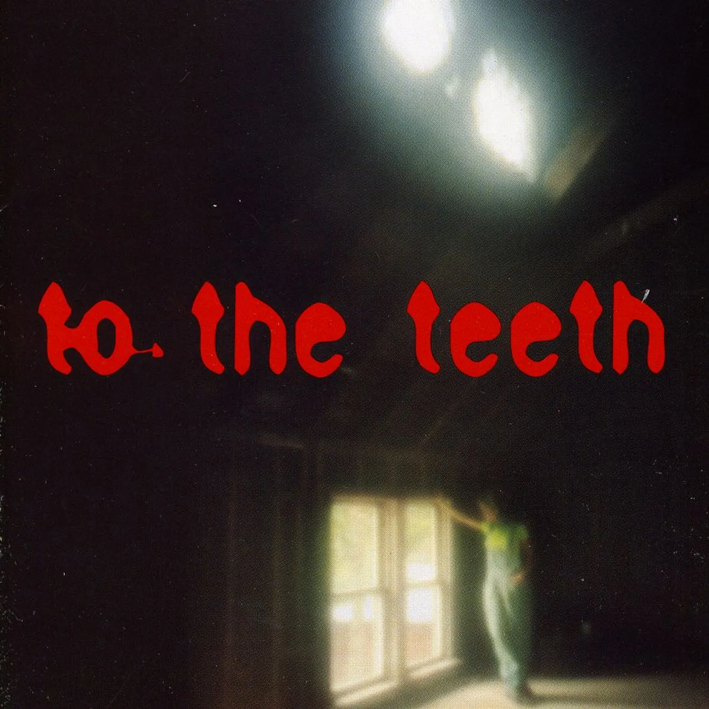 Ani DiFranco TO THE TEETH CD