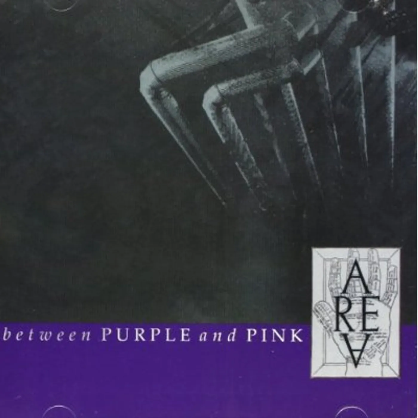 Area BETWEEN PURPLE & PINK CD