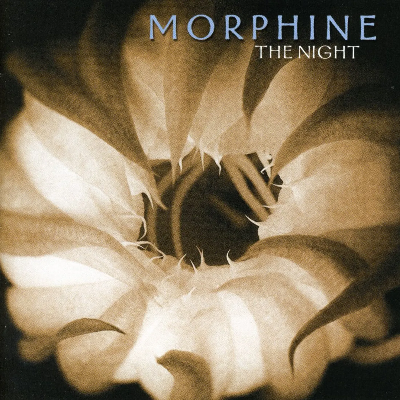 Morphine NIGHT CD