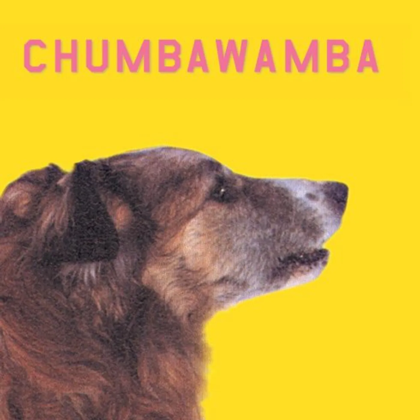 Chumbawamba WHAT YOU SEE IS WHAT YOU GET CD
