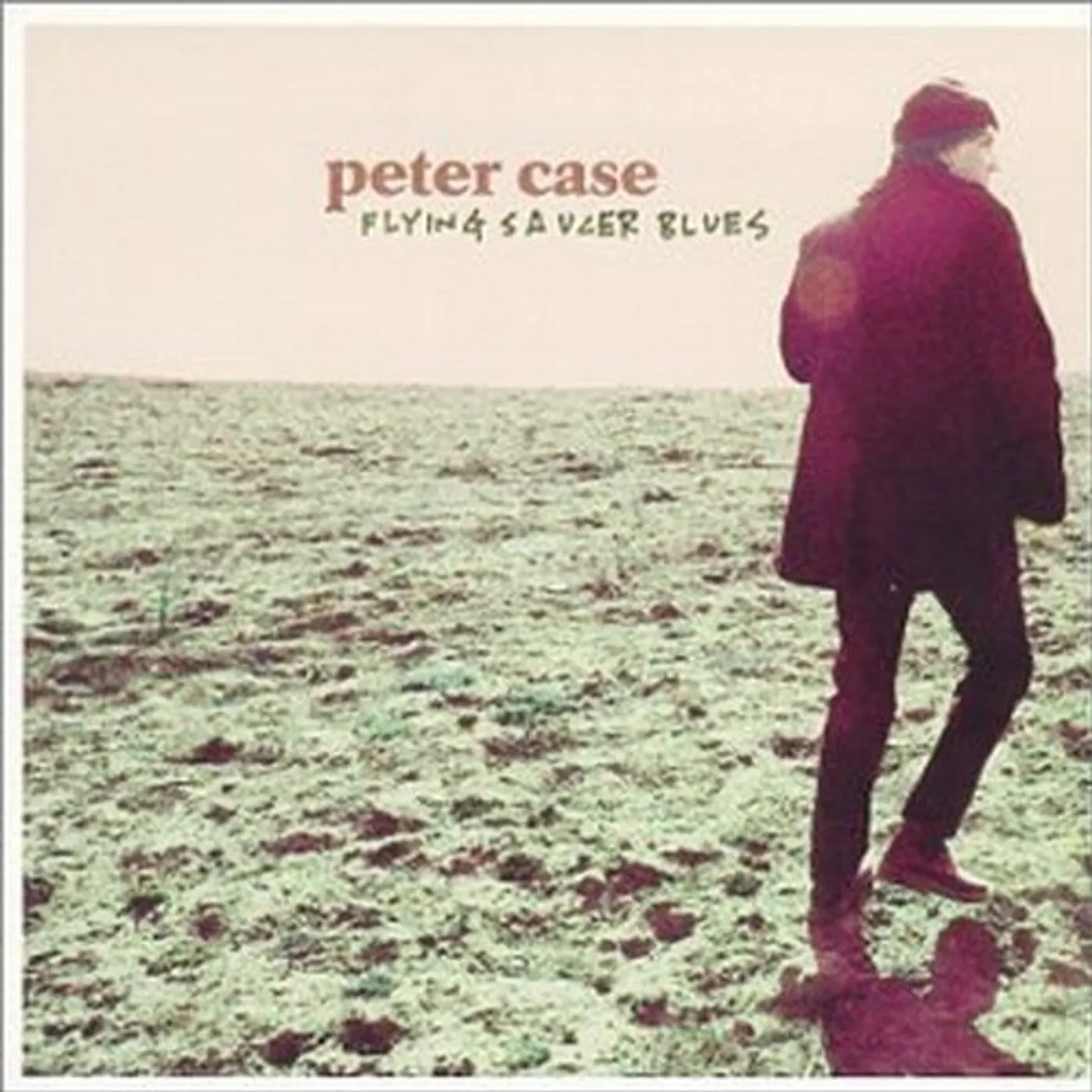 Peter Case FLYING SAUCER BLUES CD