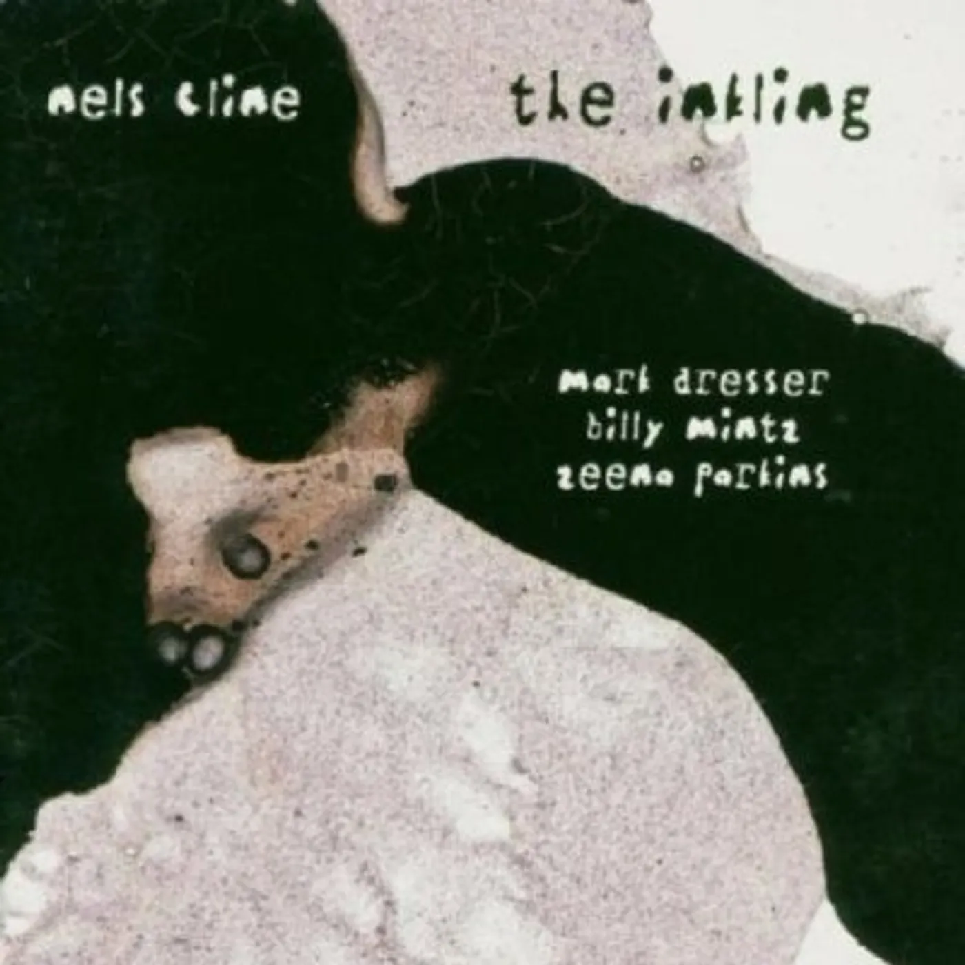Nels Cline INKLING CD