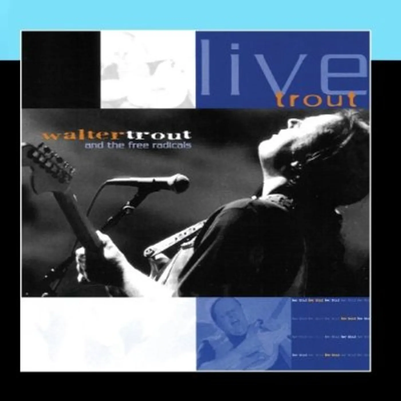 Walter Trout LIVE TROUT: AT TAMPA BAY BLUES FEST MARCH 2000 CD