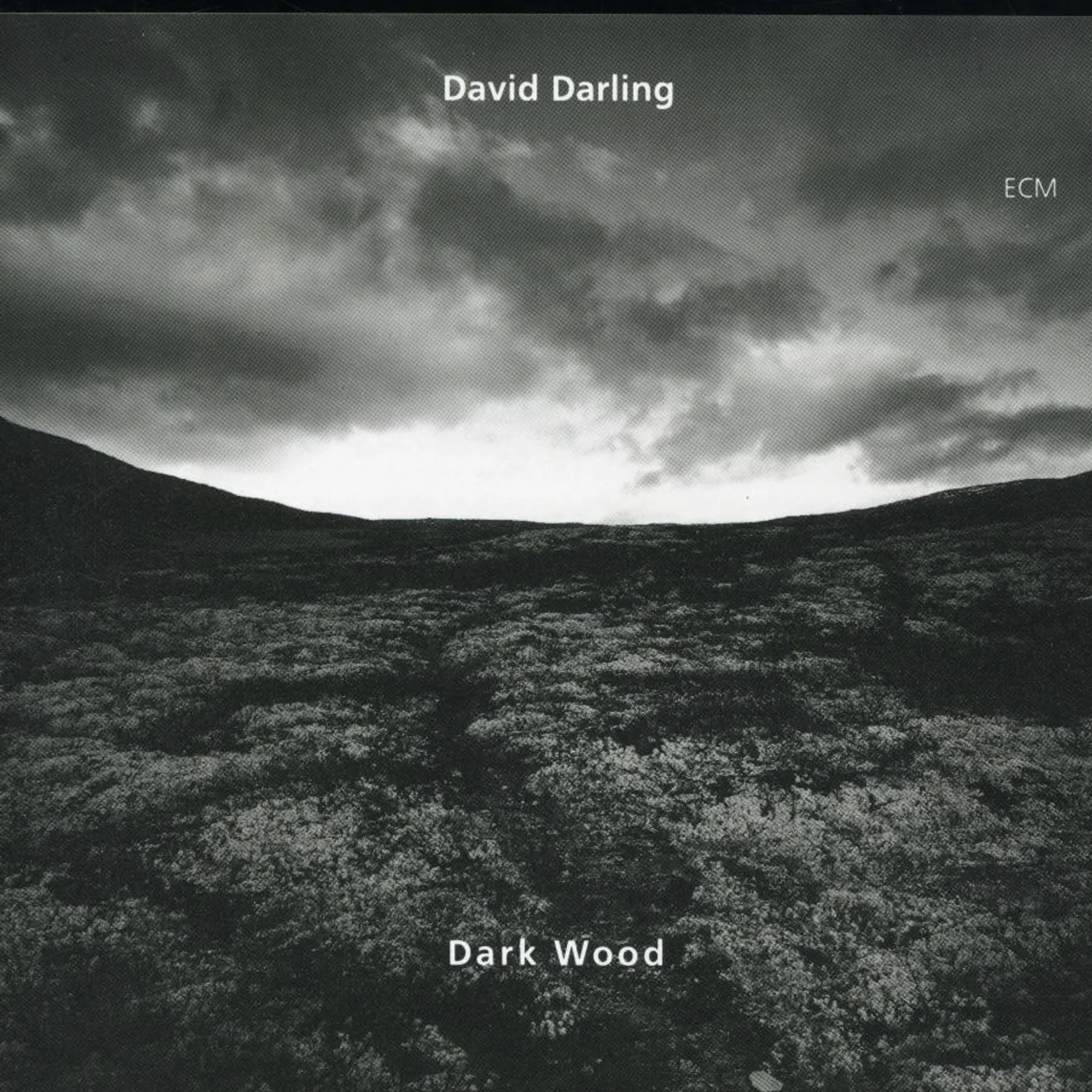 David Darling DARKWOOD CD