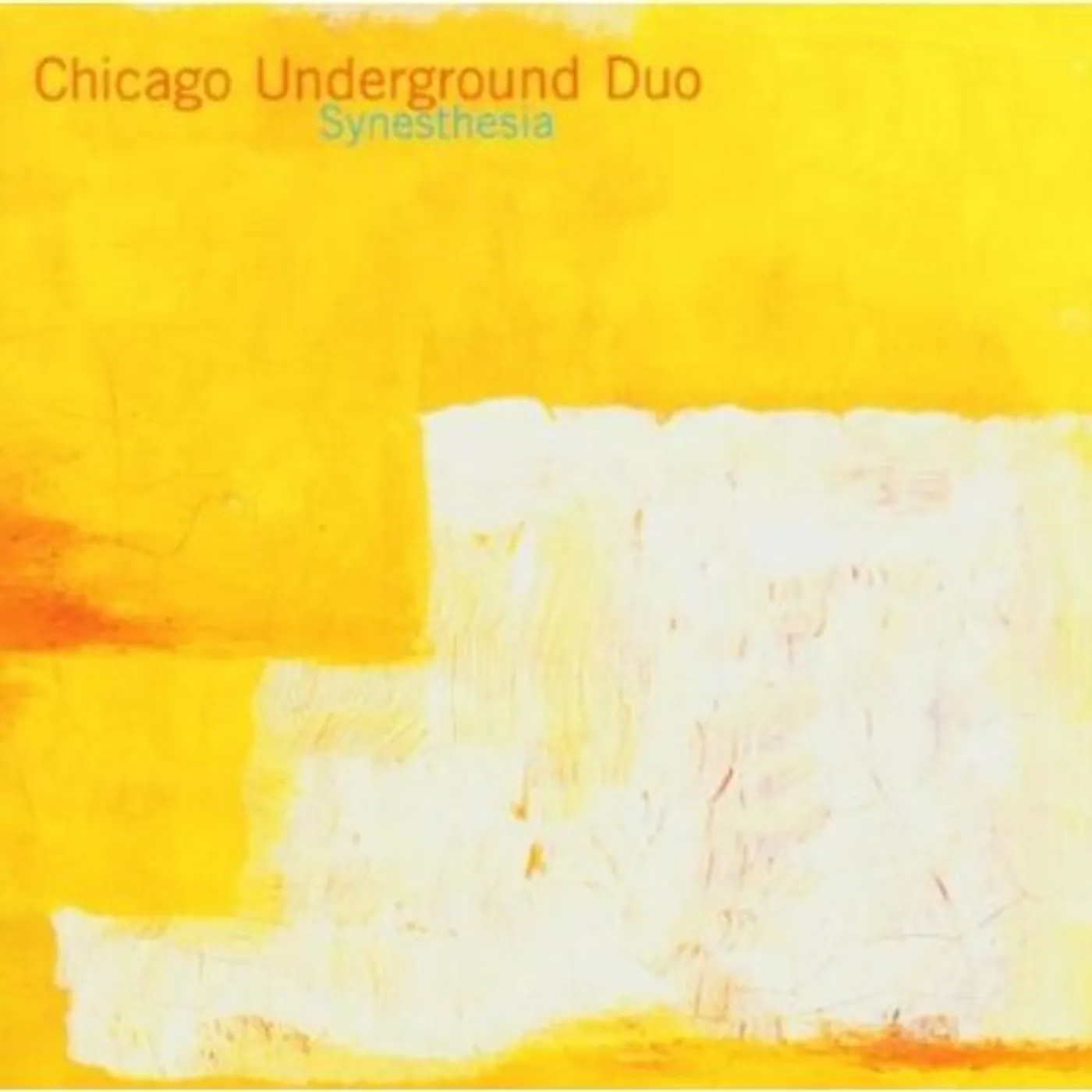 Chicago Underground Duo SYNESTHESIA CD
