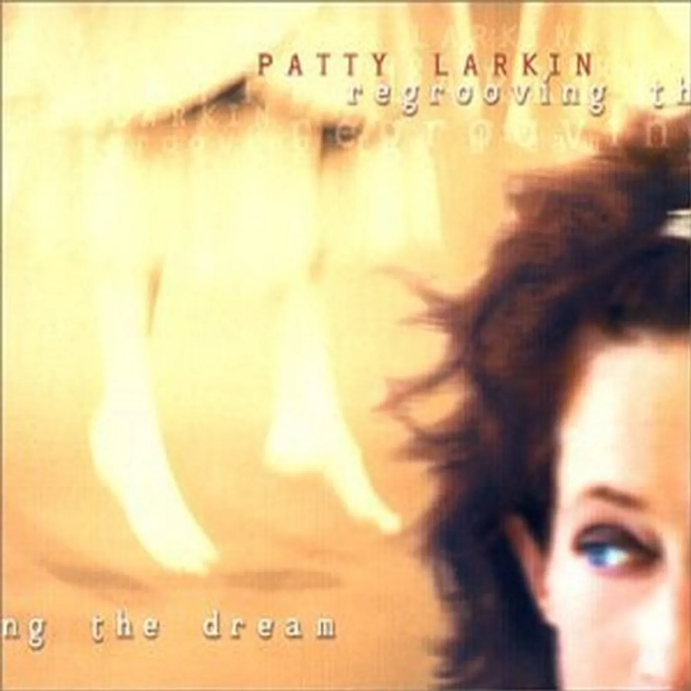 Patty Larkin REGROOVING THE DREAM CD