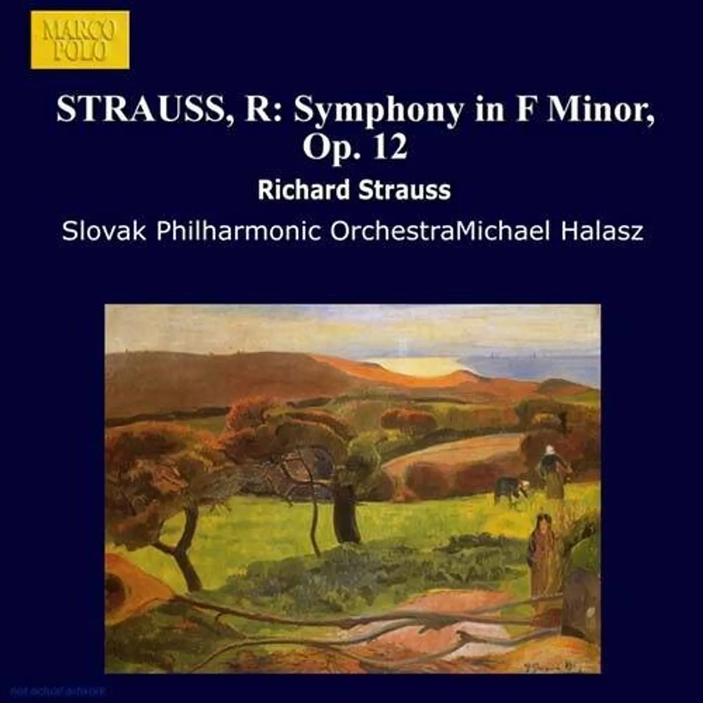 R.Strauss SYMPHONY IN F MINOR CD