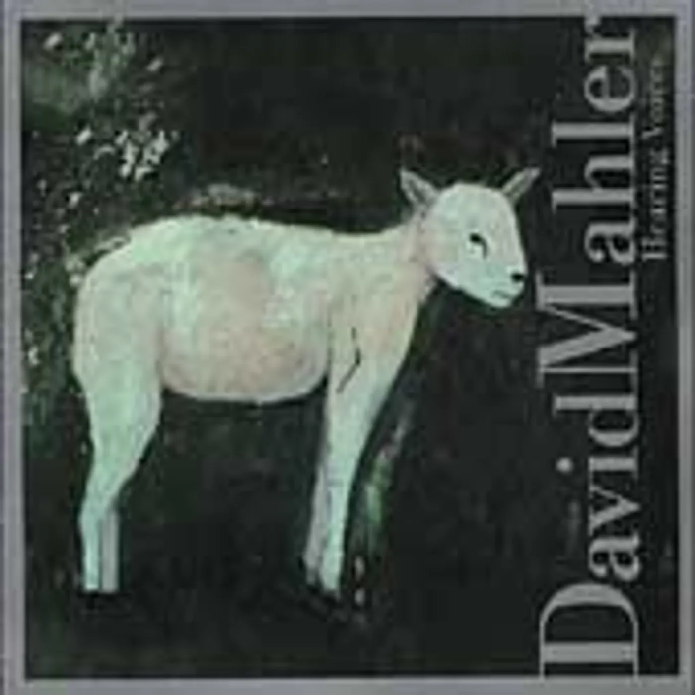 David Mahler HEARING VOICES CD