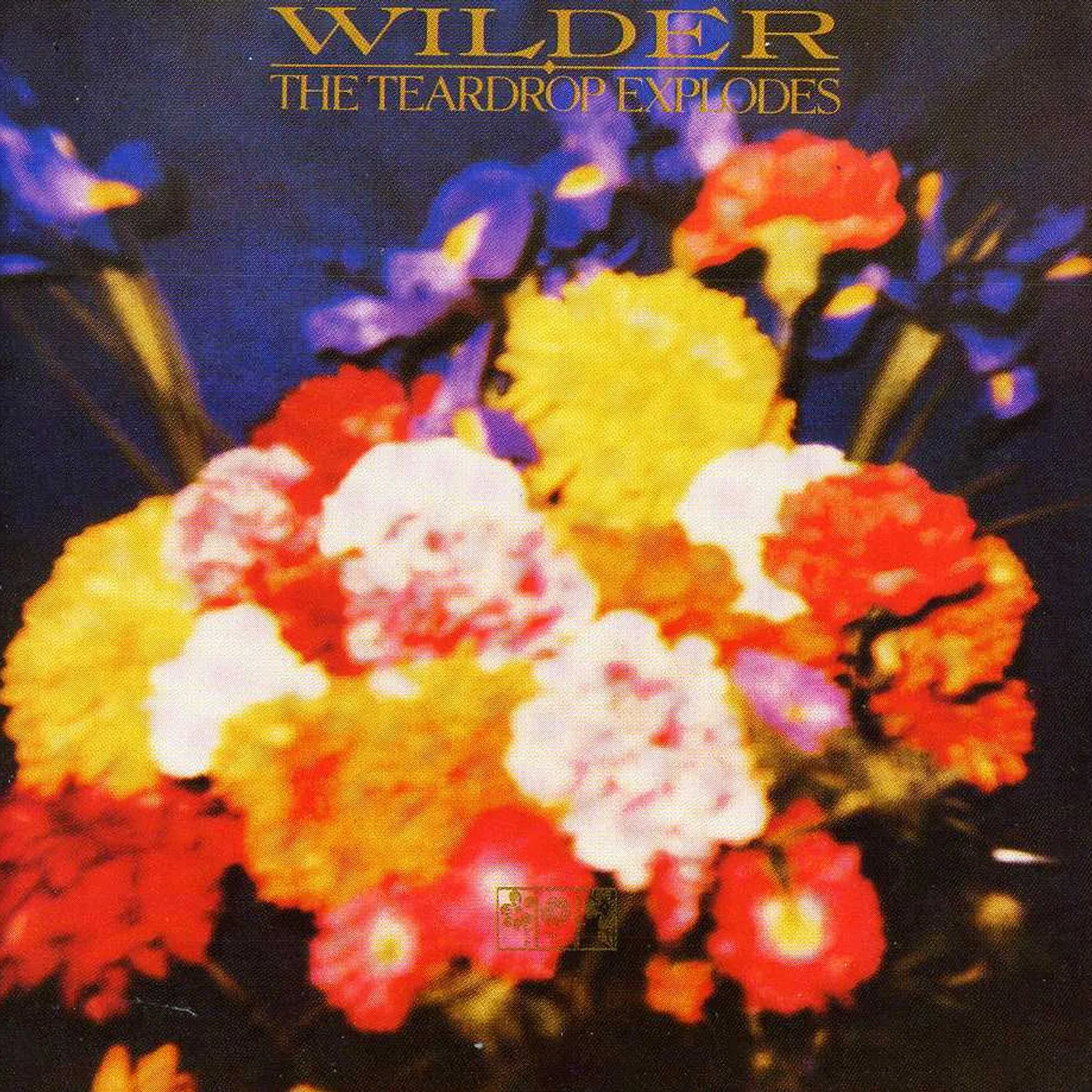 The Teardrop Explodes WILDER CD