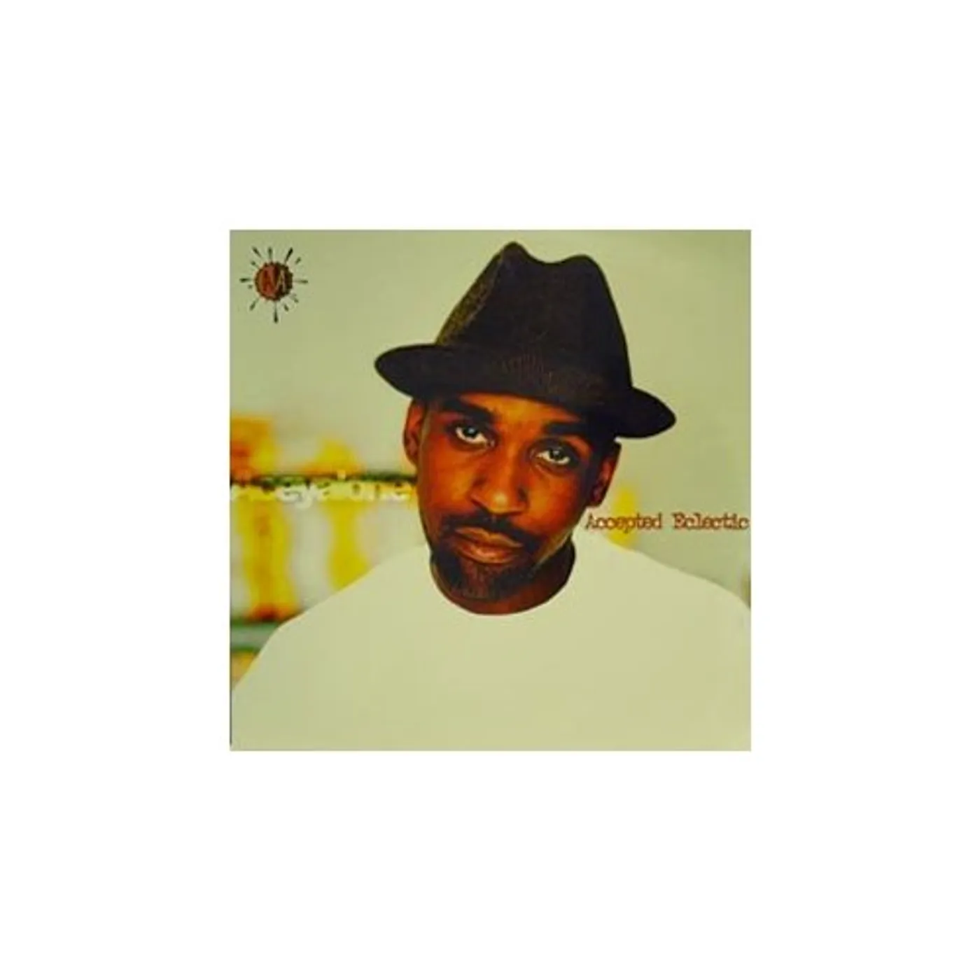 Aceyalone ACCEPTED ECLECTIC / B-BOY REAL MCCOY Vinyl Record