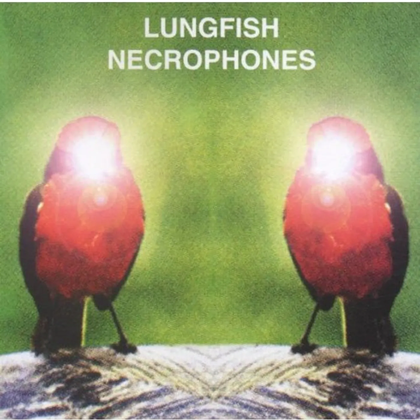 Lungfish NECROPHONES Vinyl Record