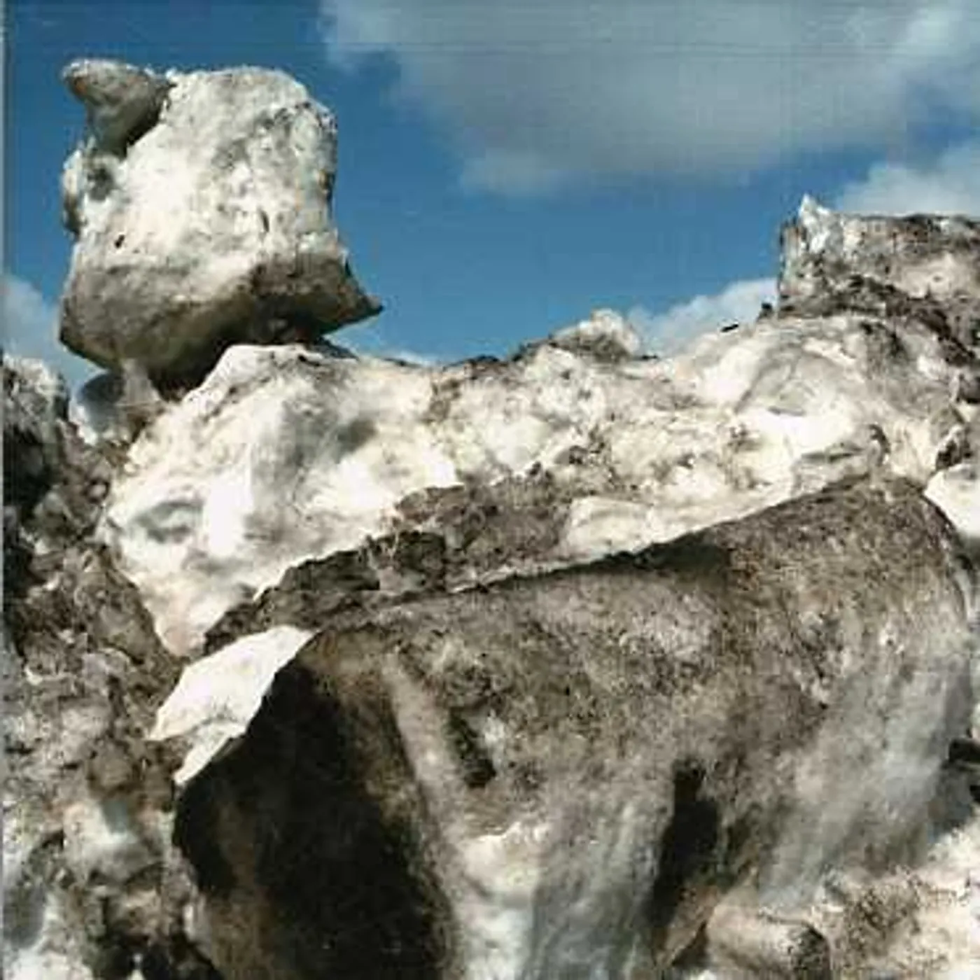 E.VAX PARKING LOT MUSIC CD