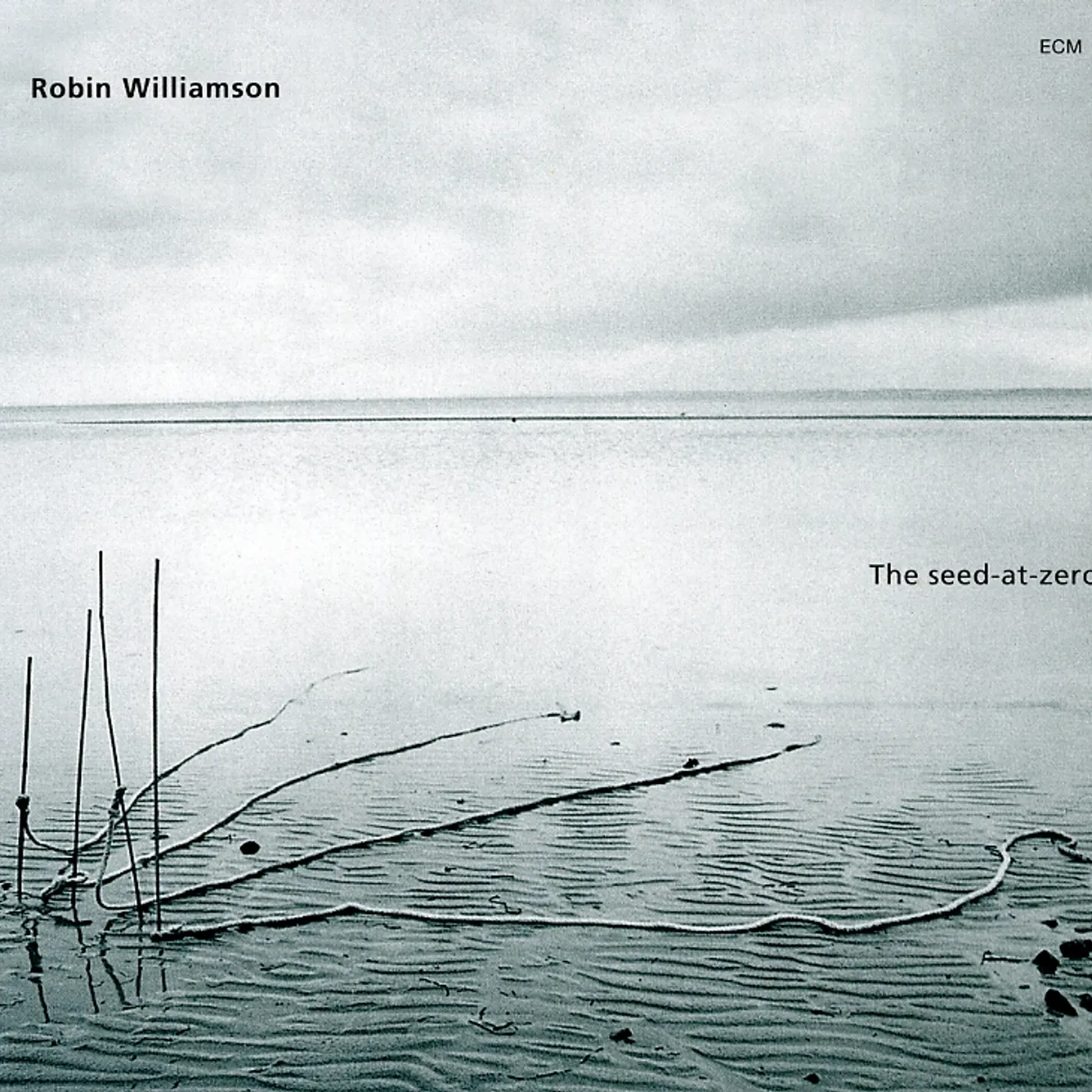 Robin Williamson SEED-AT-ZERO CD
