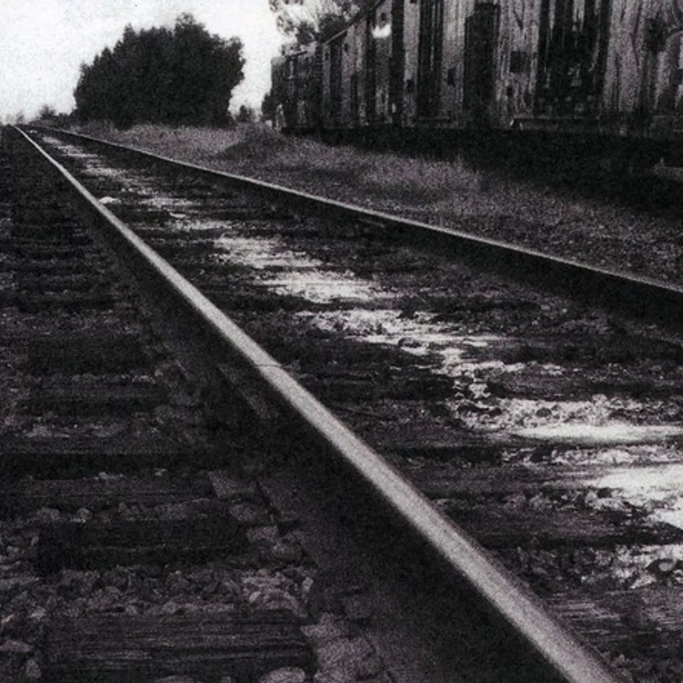 Mark Kozelek WHAT'S NEXT TO THE MOON CD