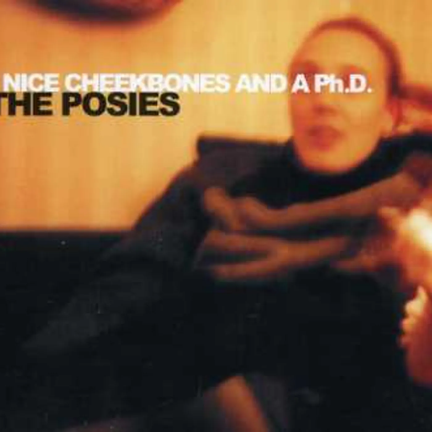 The Posies NICE CHEEKBONES & A P.H.D. CD