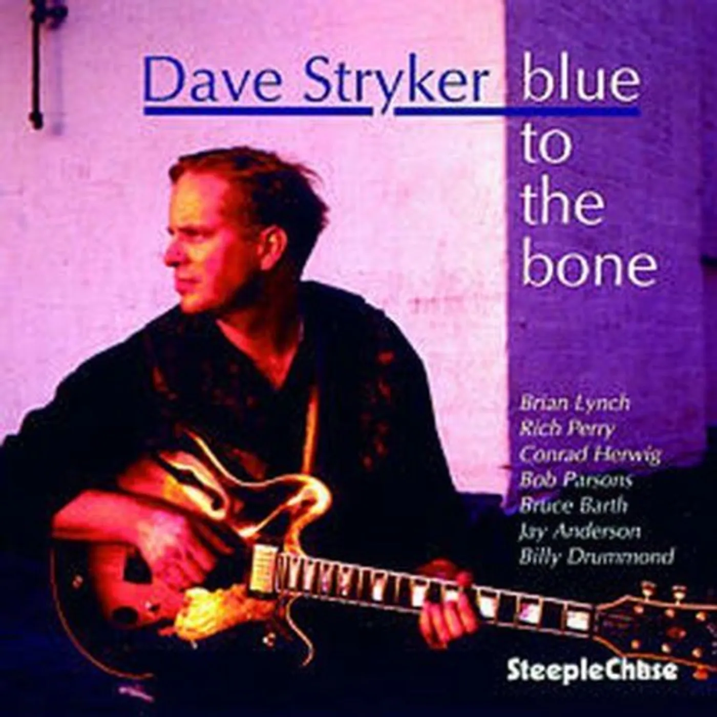 Dave Stryker BLUE TO THE BONE CD