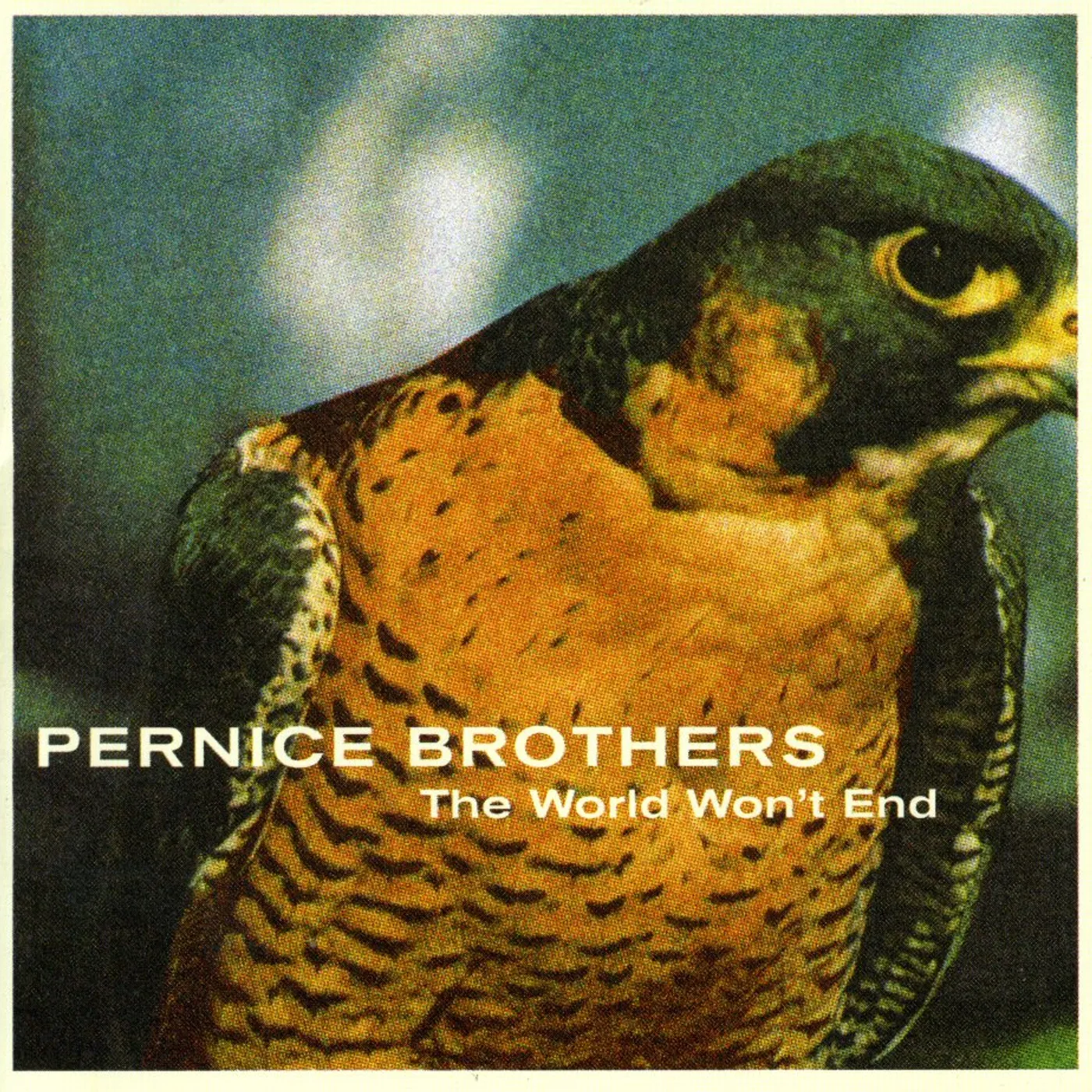 Pernice Brothers WORLD WON'T END CD
