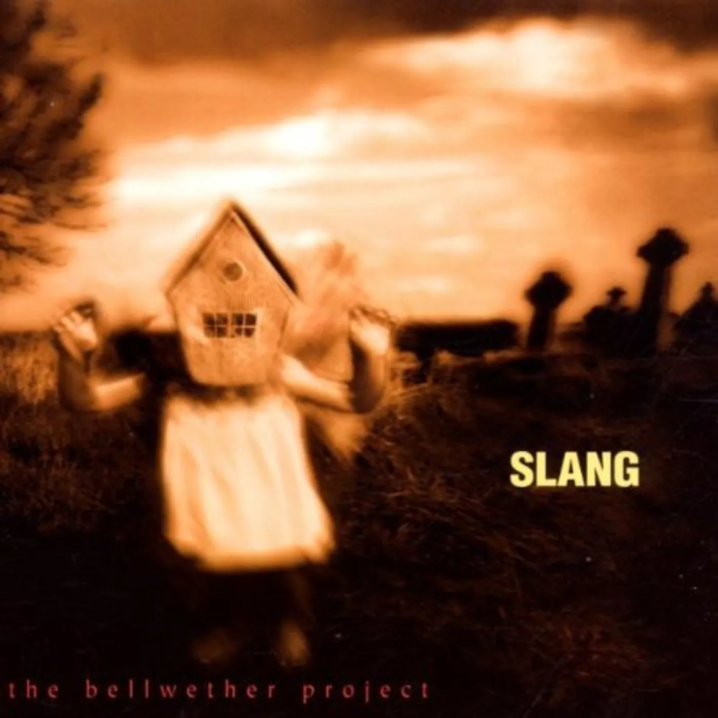 SLANG BELLWETHER PROJECT CD