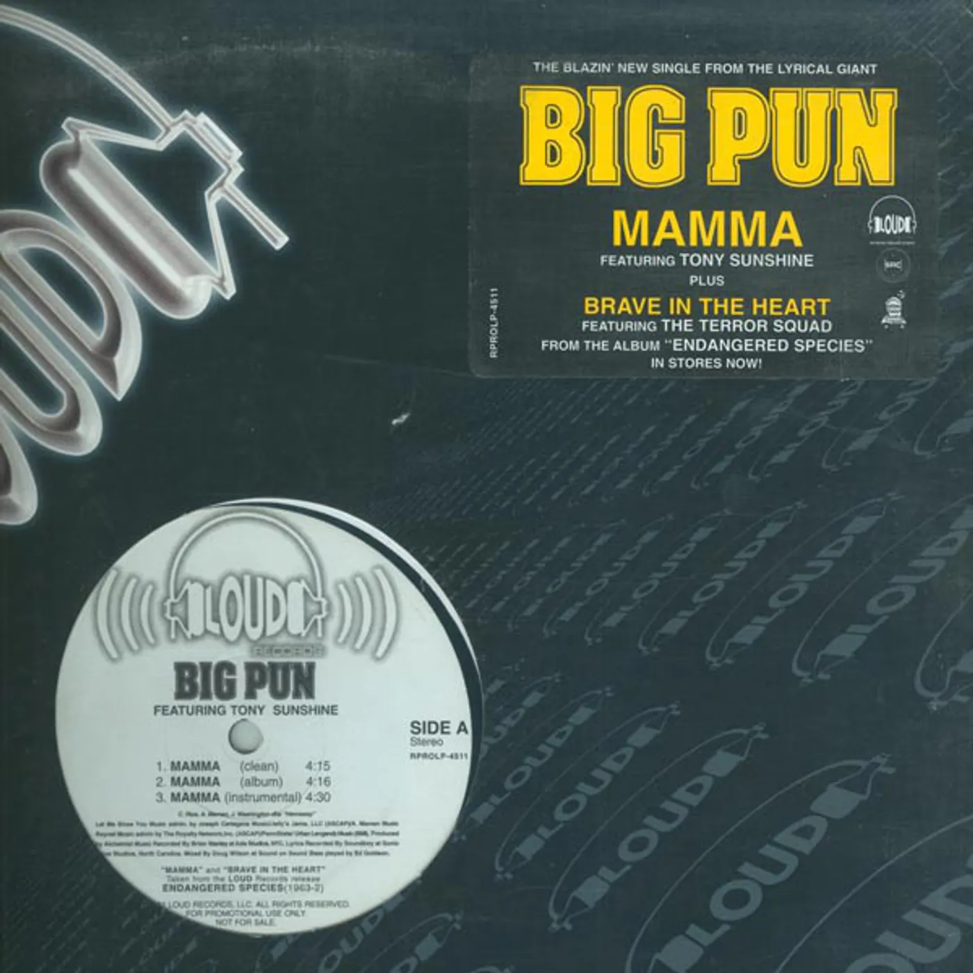 Big Pun Mamma / Brave In The Heart Vinyl Record