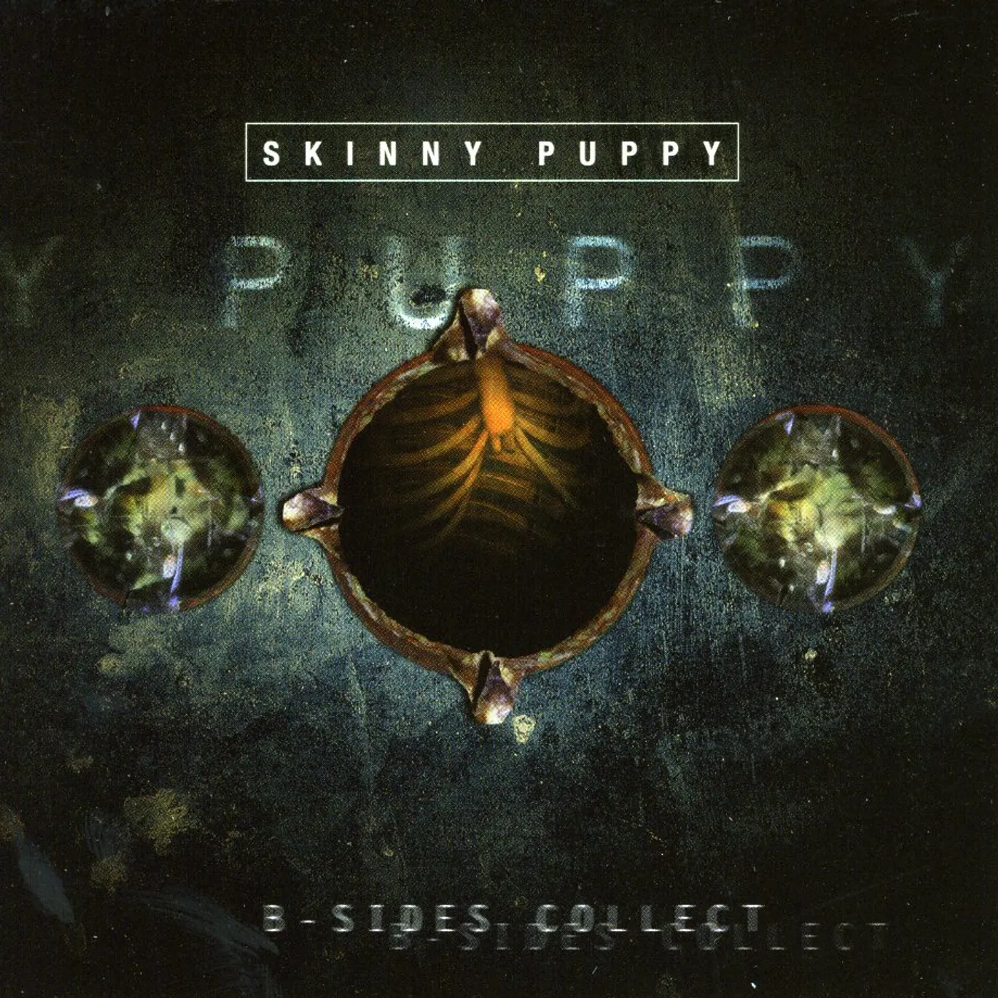 Skinny Puppy B-SIDES COLLECTION CD