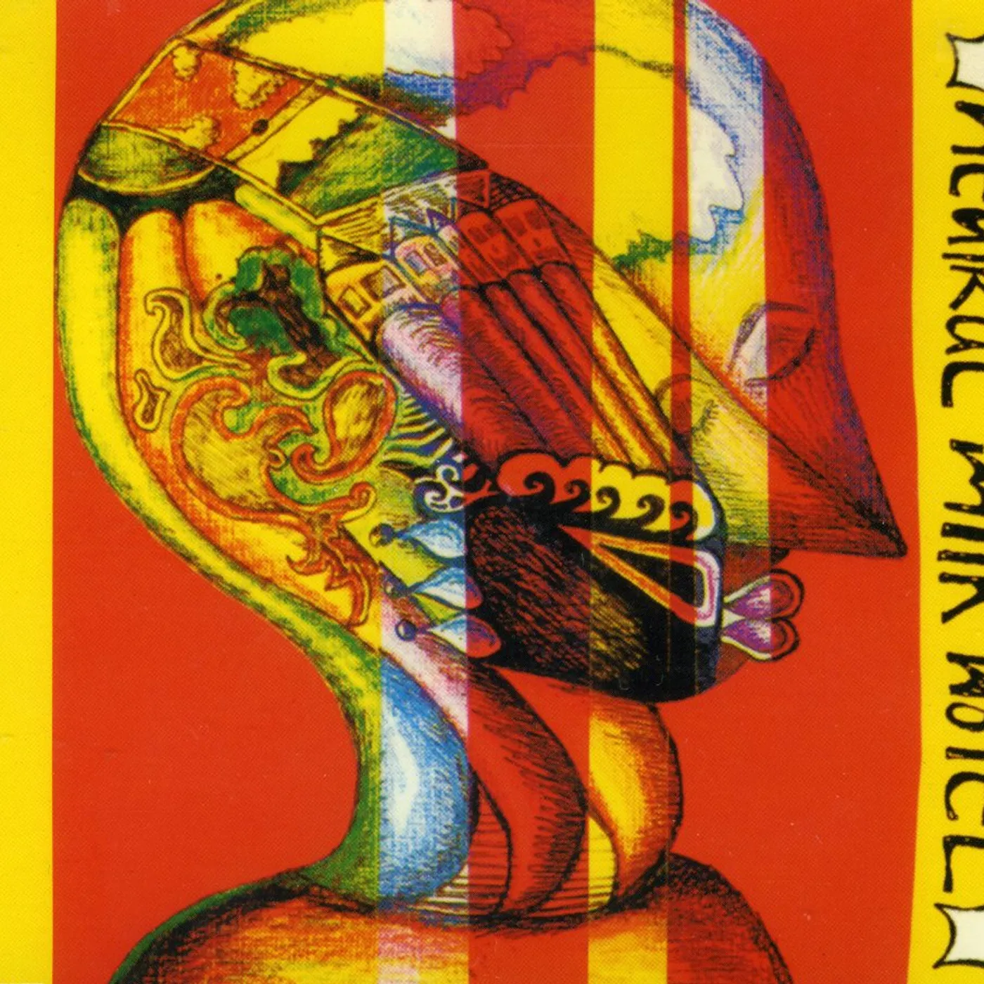 Neutral Milk Hotel EVERYTHING IS CD