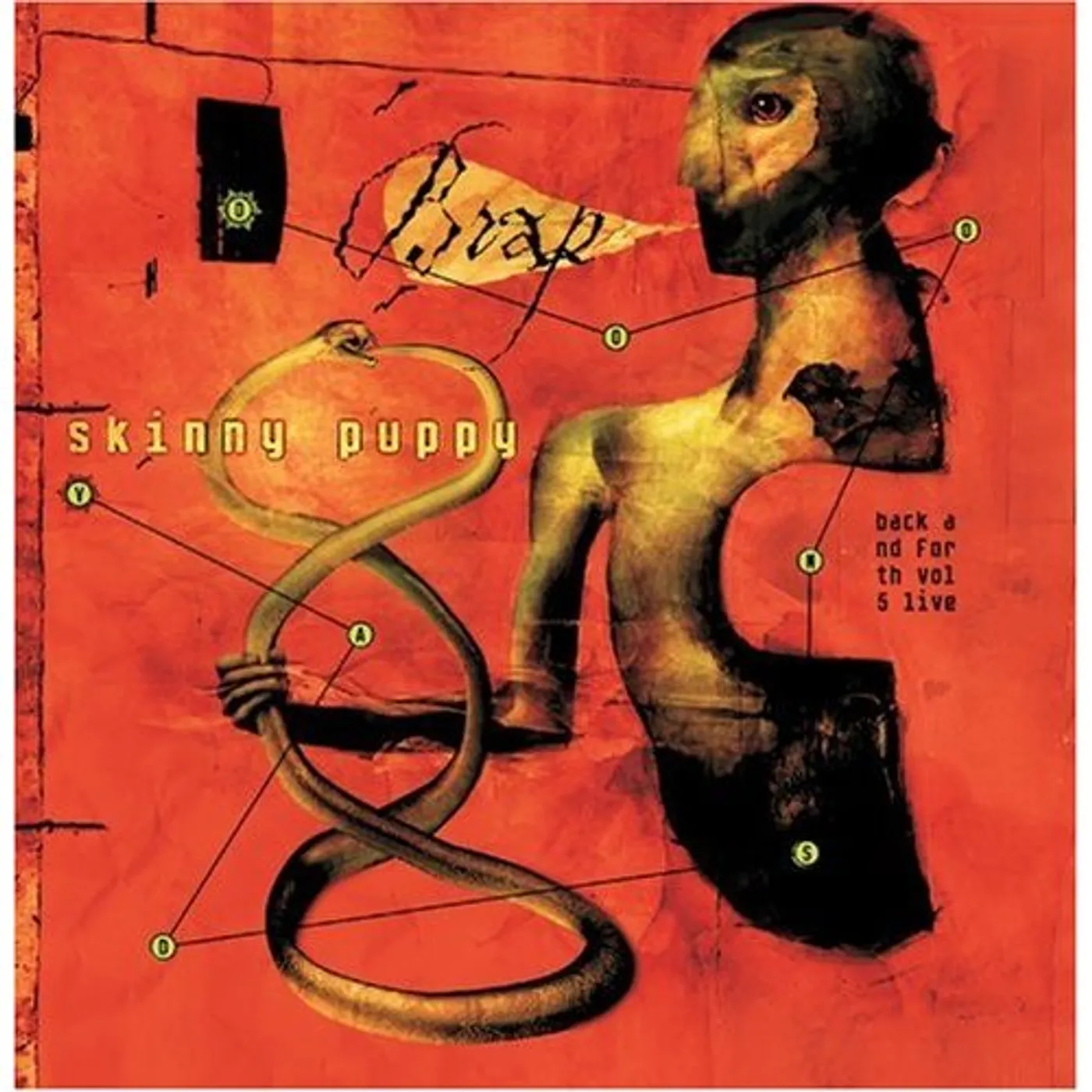 Skinny Puppy DOOMSDAY: BACK & FORTH 5-LIVE CD