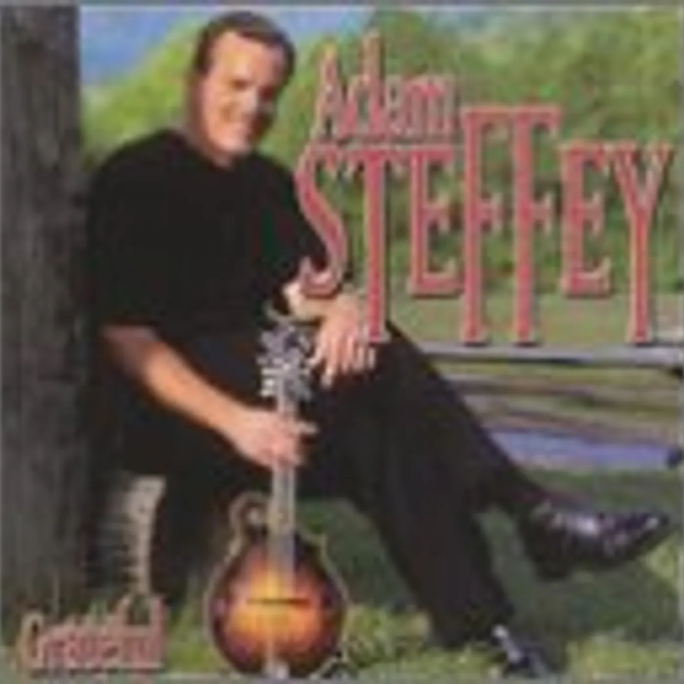 Adam Steffey GRATEFUL CD