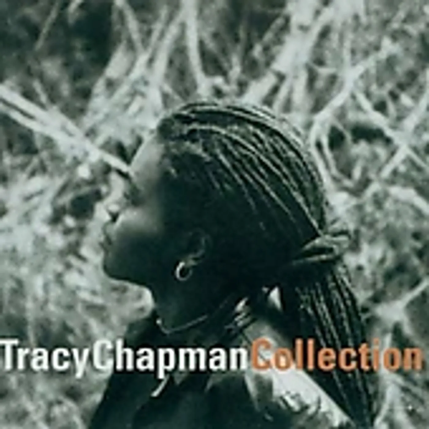 Tracy Chapman COLLECTION CD
