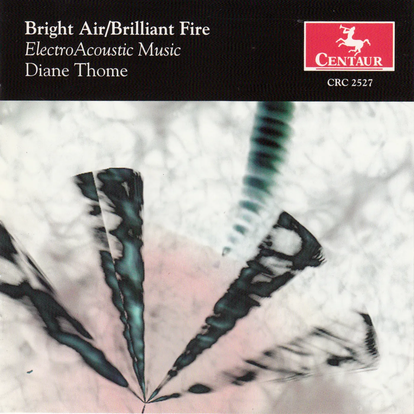 Thome BRIGHT AIR / BRILLIANT FIRE: ELECTRO ACOUSTIC CD