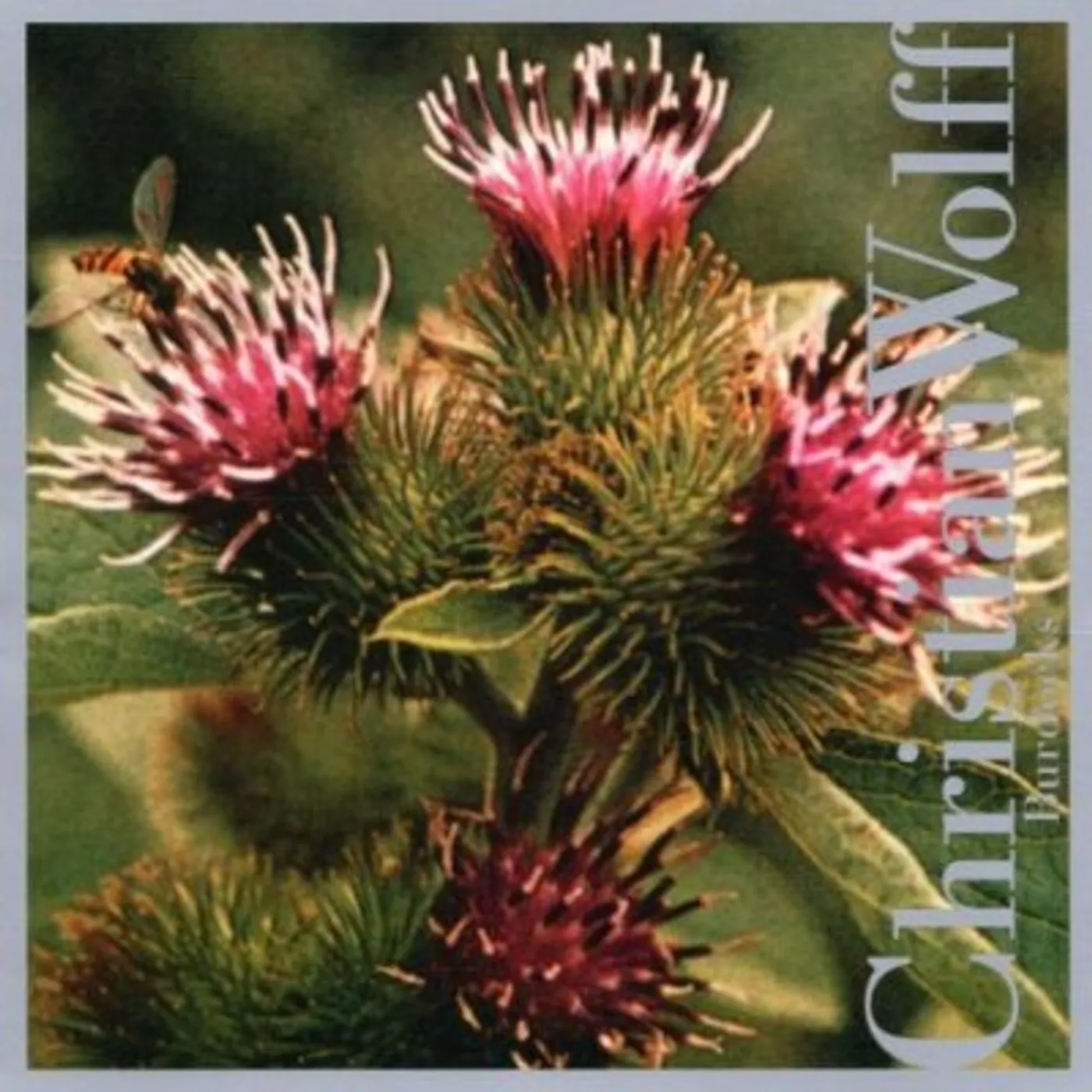 Christian Wolff BURDOCKS CD