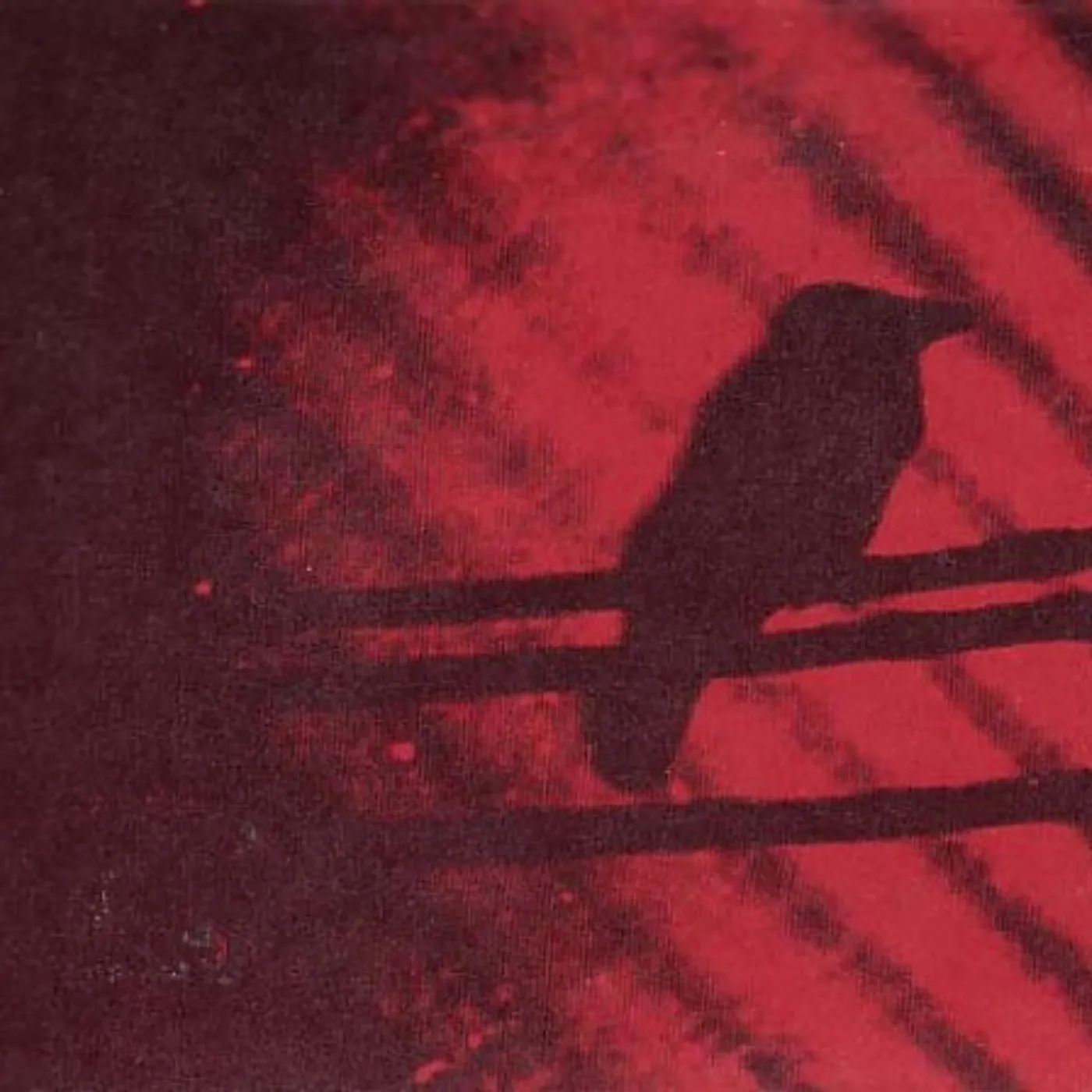 Silver Mt Zion BORN INTO TROUBLE AS THE SPARKS FLY UPWARD Vinyl Record