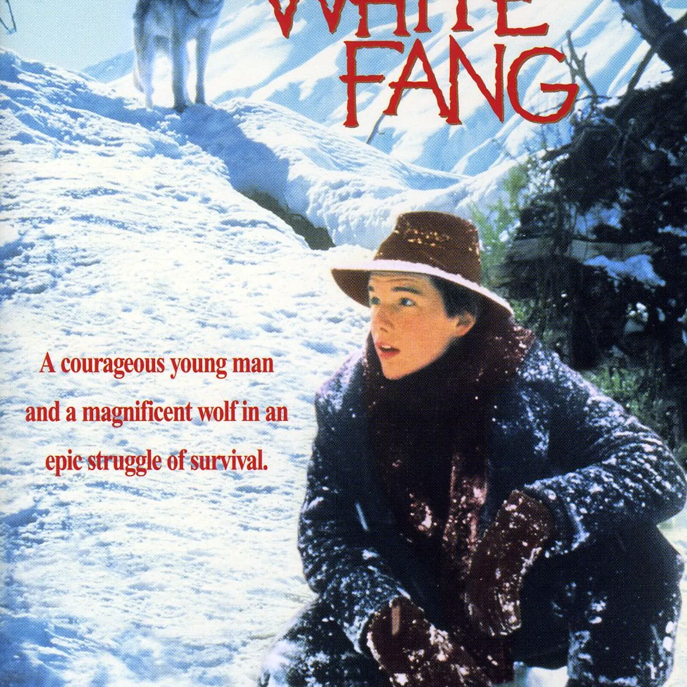 WHITE FANG DVD