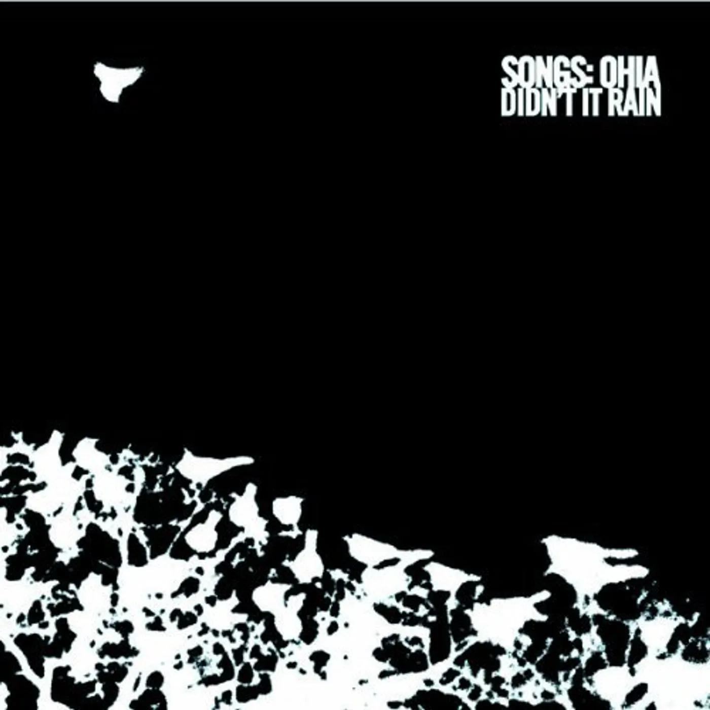 Songs: Ohia DIDN'T IT RAIN CD