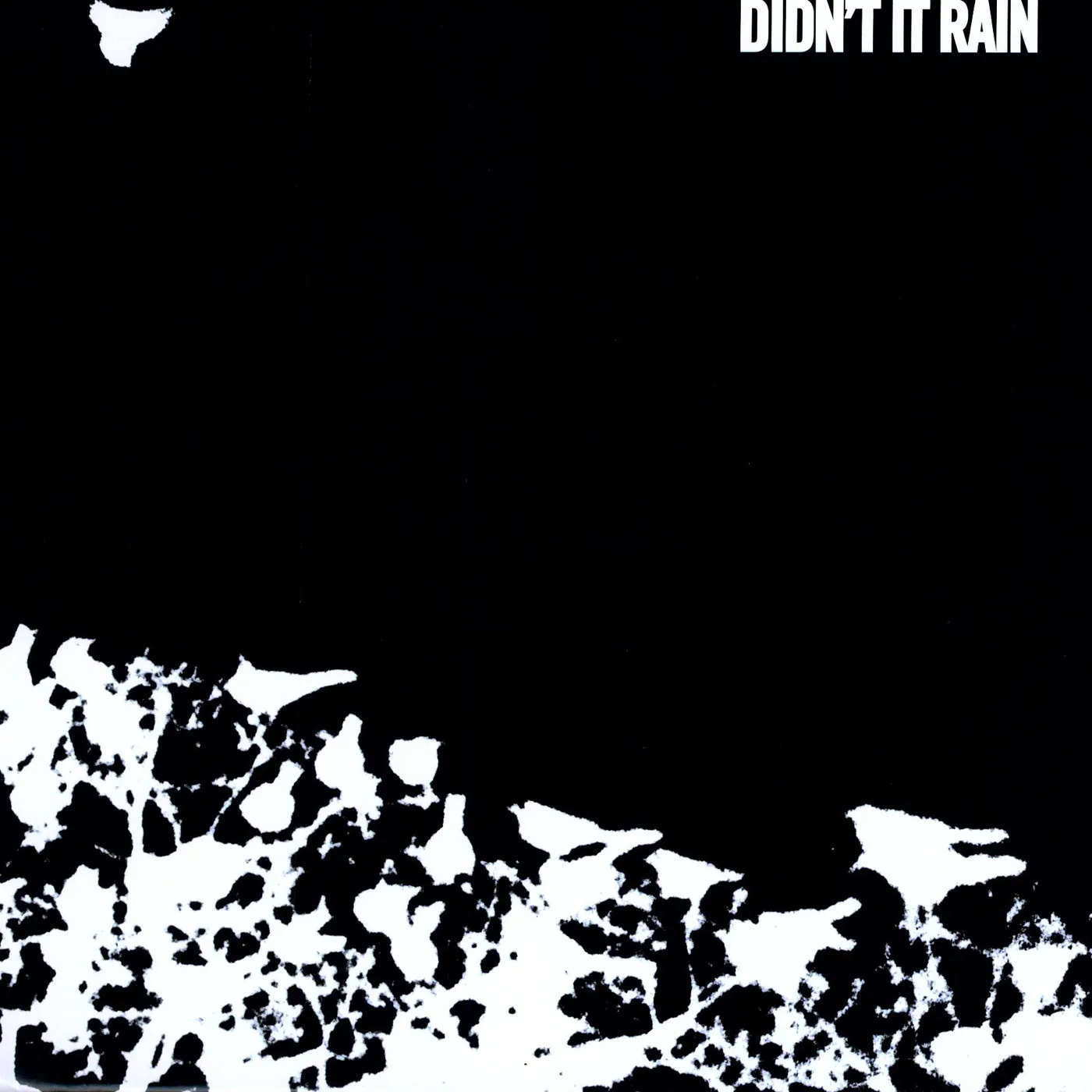 Songs: Ohia Didn't It Rain Vinyl Record