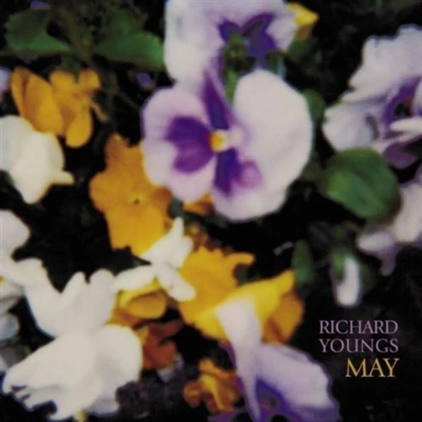 Richard Youngs MAY CD