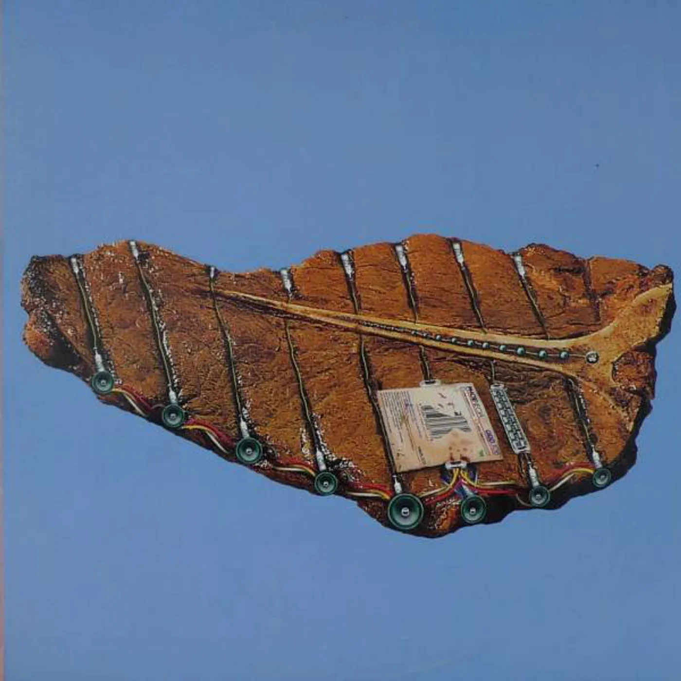 Phoenecia Odd Job Vinyl Record