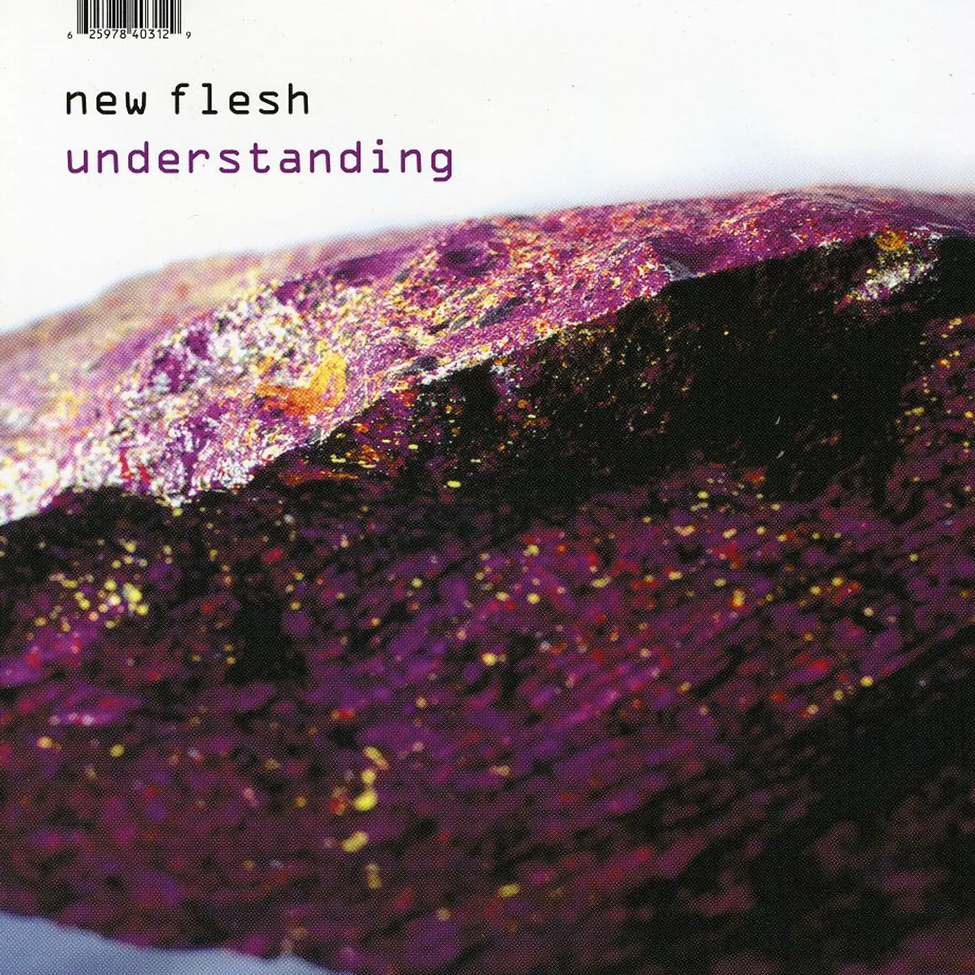 New Flesh UNDERSTANDING CD