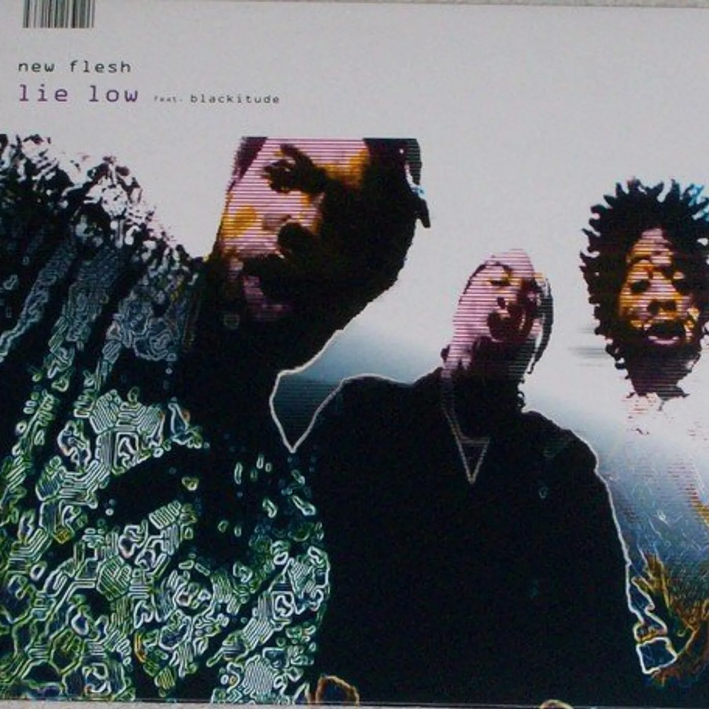 New Flesh LIE LOW (X2) Vinyl Record