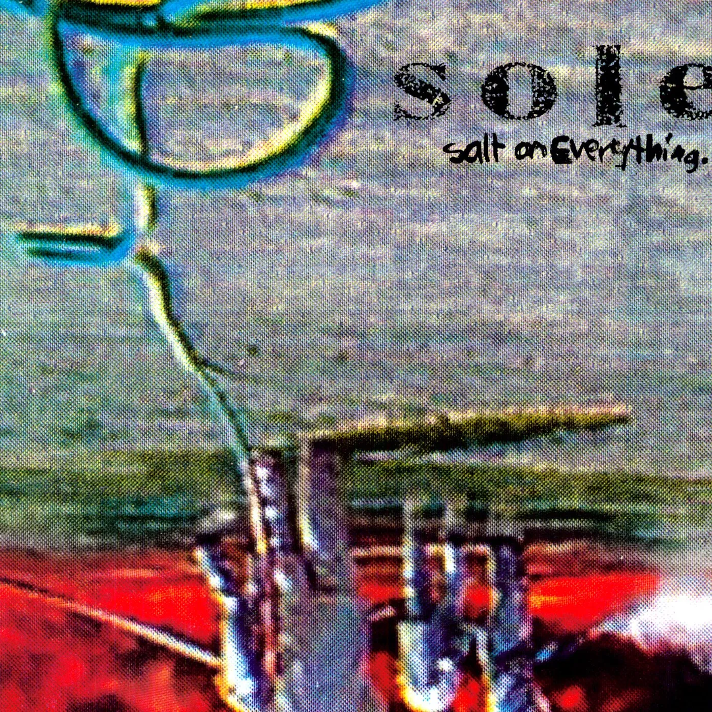 Sole Salt On Everything Vinyl Record