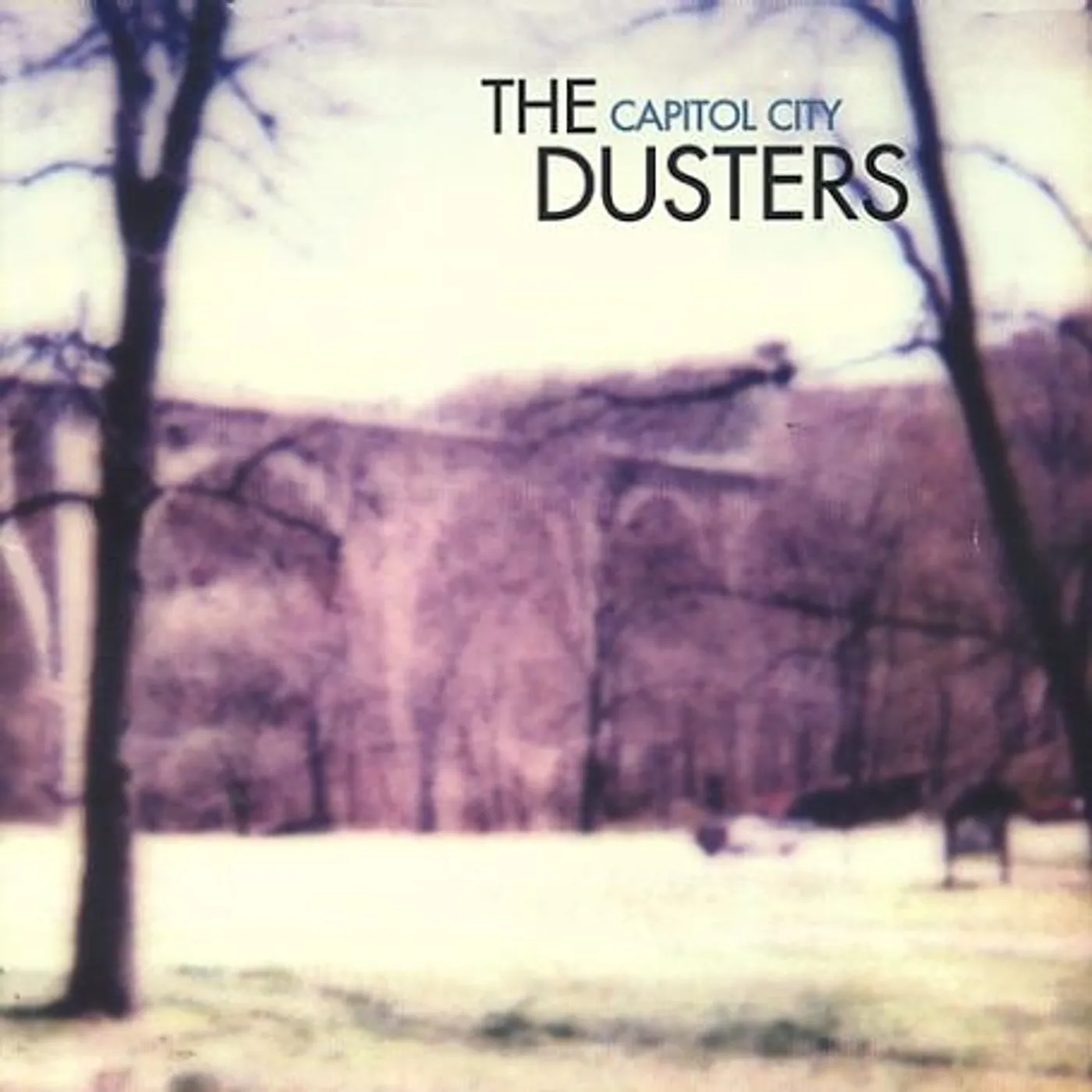 The Capitol City Dusters Rock Creek Vinyl Record