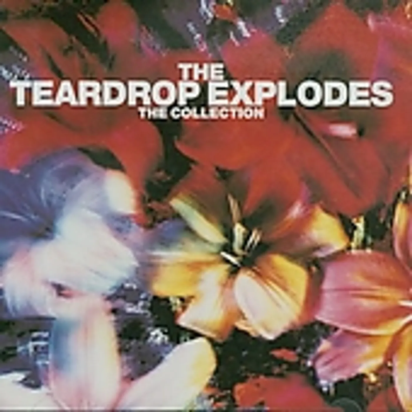 The Teardrop Explodes COLLECTION CD